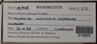 Image Associated With the Occurence